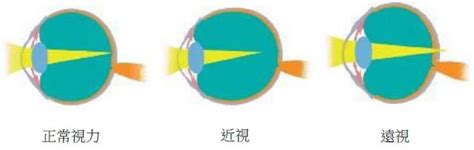 酷客影视在线观看免费高清电视剧